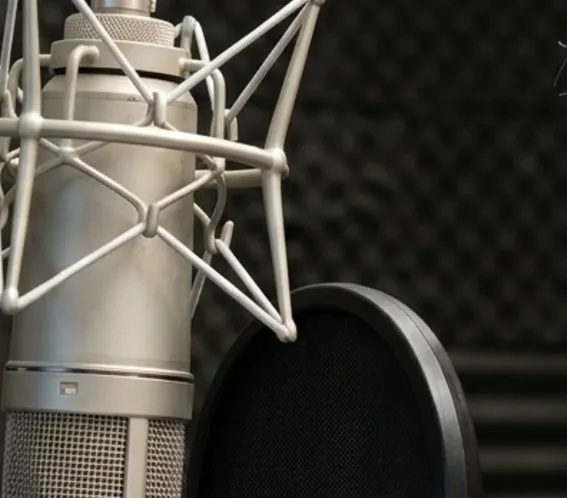 large condensor microphone